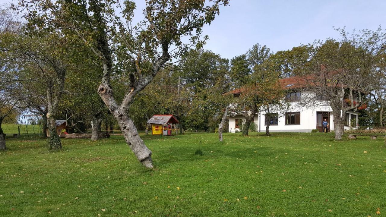 Гостевой дом Janezinovi House Ratecevo Brdo Экстерьер фото